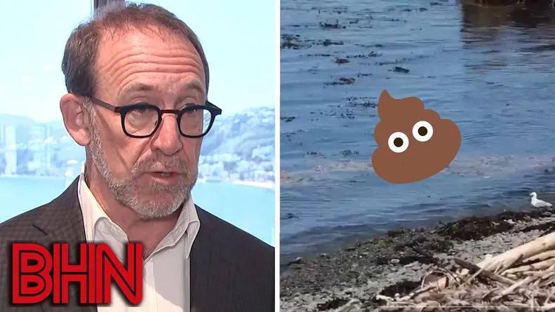 #BHN One win for the environment! But one disaster for Wellington Bay