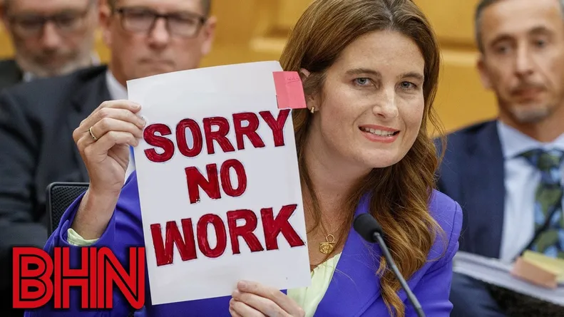 #BHN They are gaslighting you that high unemployment is a good sign