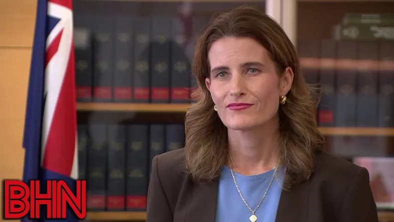 #BHN Poor old Nicola Willis has nasty old Donald Trump to blame for breaking NZ's economy