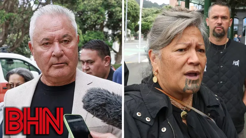 #BHN Mariameno back in court to fight her unfair expulsion from Te Pāti Māori